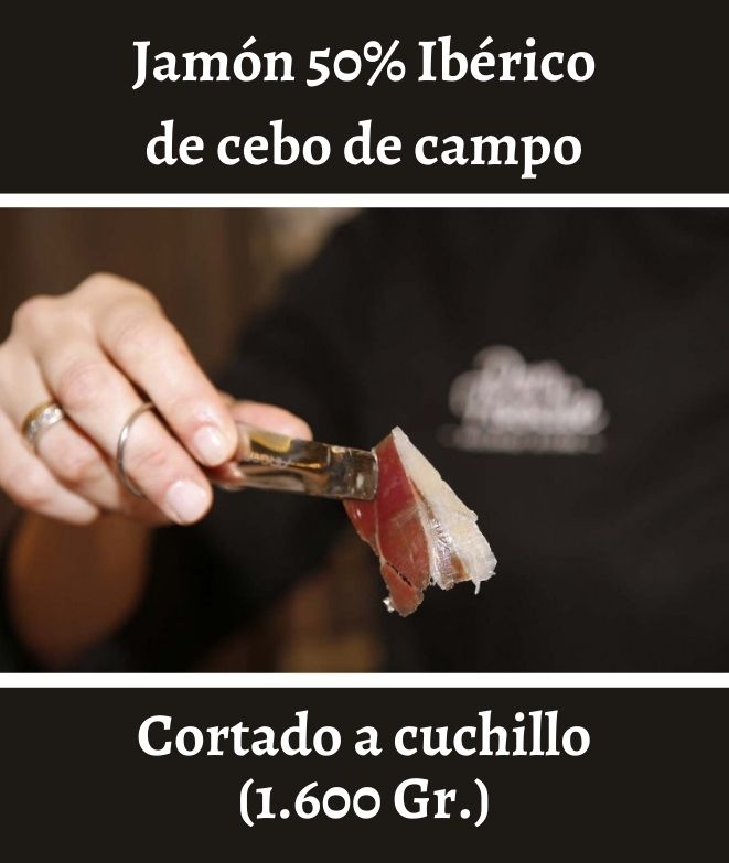 16 x (100gr) Jamón Ibérico de Cebo de Campo